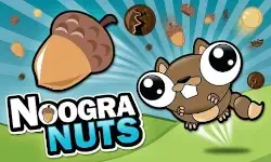 Noogra Nuts