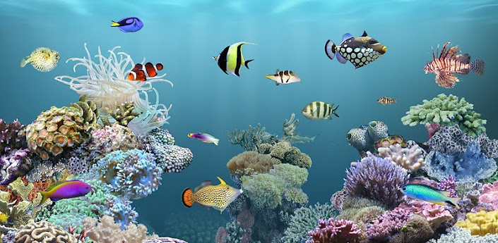 Anipet Aquarium Free Apps Android Com