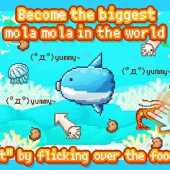 Survive Mola mola