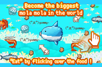 Survive Mola mola
