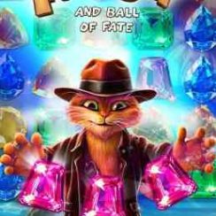 Indy Cat – Make your adventures funny and addictive