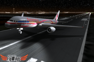 Flight Simulator Night NY