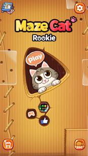 Maze Cat Rookie