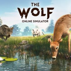 The Wolf – Dive into the world of wild wolves