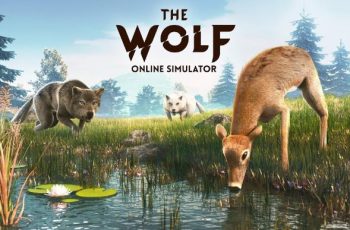 The Wolf – Dive into the world of wild wolves