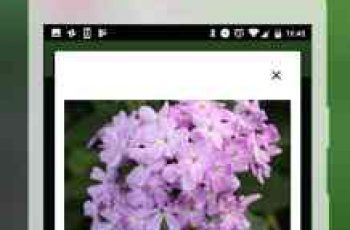 PlantSnap – You can identify plants instantly