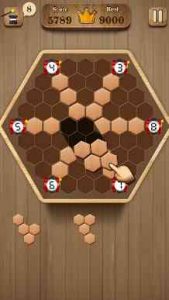 Wooden Hexagon Fit