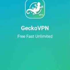 GeckoVPN – Provides a secure and trustworthy VPN connection