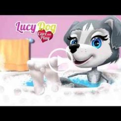 Lucy Dog Care and Play – Find out what surprises await you