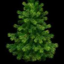 Christmas tree decoration – Decorate the Christmas tree with beautiful ornaments