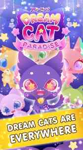 Dream Cat Paradise