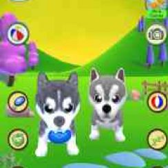 Talking Husky Dog – Will repeat everything you say with a funny voice
