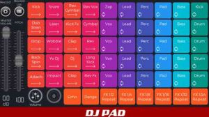 DJ PADS