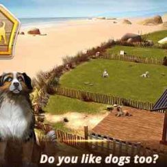 DogHotel – Learn how to run a successful doggy hotel business