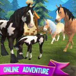 Horse Paradise – Bring them into your family