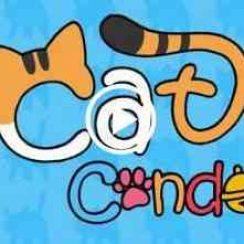 Cat Condo – Watch your condo grow