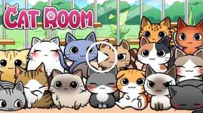 Cat Room