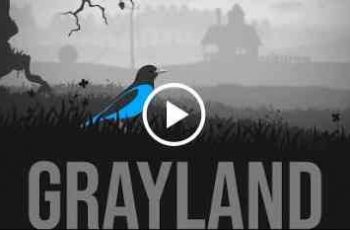 Grayland – Will a small bird be able to solve what big leaders can not