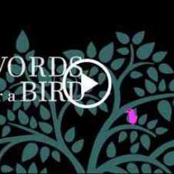 Words for a bird – Uncover all the words