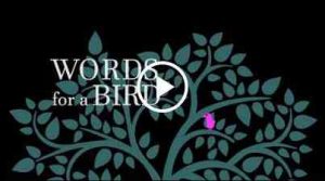 Words for a bird
