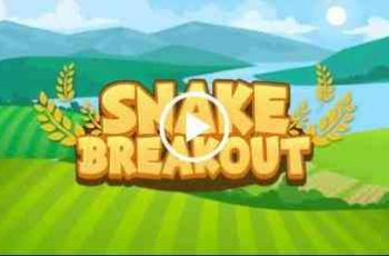 Snake Breakout – Slither your way to the top