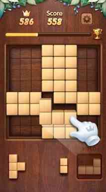 Wood Block Puzzle 3D