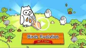 Birds Evolution