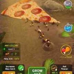 Little Ant Colony – Take charge of the ants colony