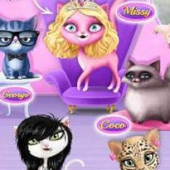 Cat Hair Salon Birthday Party – Run your own virtual Cat Hair Salon