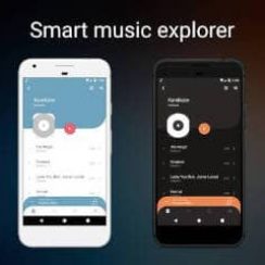 Frolomuse Music Player – Customize the sound to your liking