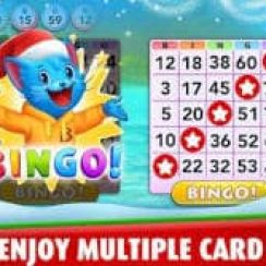 Bingo Blitz – What are you waiting for