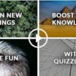 QuizzLand – Just your brain and our quizzes