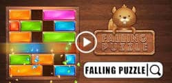 Falling Puzzle