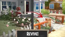 Dream Garden Makeover