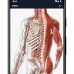 BioDigital Human – Interactive 3D anatomy