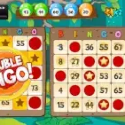 Bingo Abradoodle – Become a bingo winner