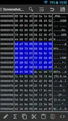 HEX Editor