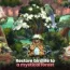 Bird Kind – Expand your forest sanctuary