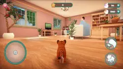 Cat Simulator 2