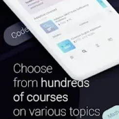 Stepik – Access video lectures and assignments on the go