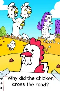 Chicken Evolution
