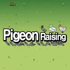 Pigeon Raising – Combine and raise pigeons