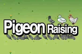 Pigeon Raising – Combine and raise pigeons