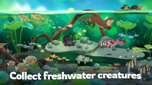 pondlife freshwater creature collection