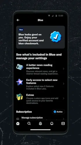 Twitter X blue subscription