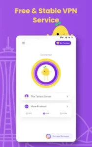 potatovpn connection interface