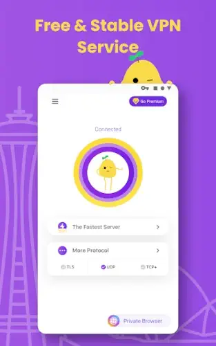 potatovpn connection interface