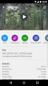 vidtrim file details interface