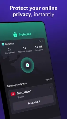 proton vpn privacy protection interface