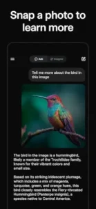 grok ai visual search identify bird